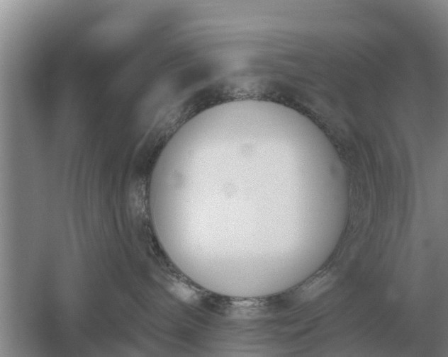 X0000052540240200507152141