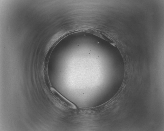 X0000052540242200507152140