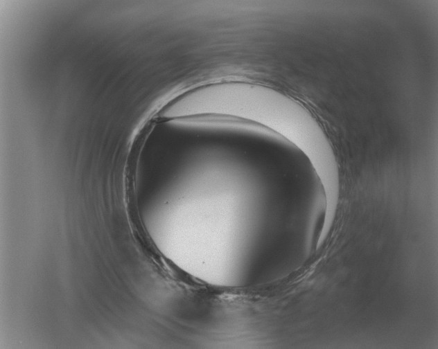 X0000052540244200507152140