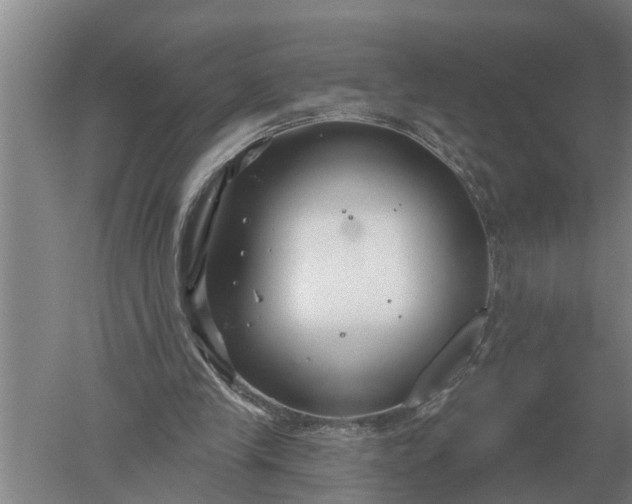 X0000052540245200507152140