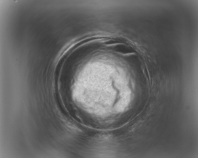 X0000052540247200507152140