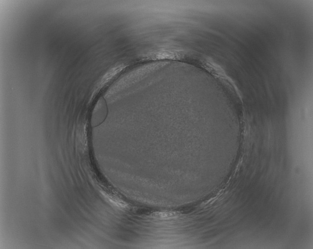 X0000052540250200507152140