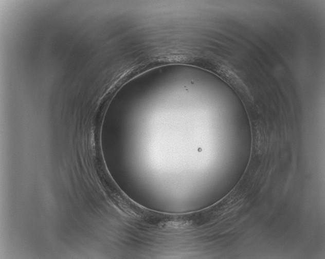 X0000052540251200507152140