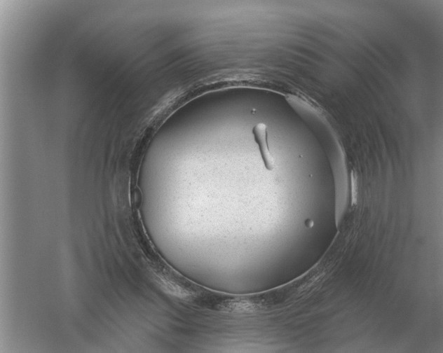 X0000052540253200507152140