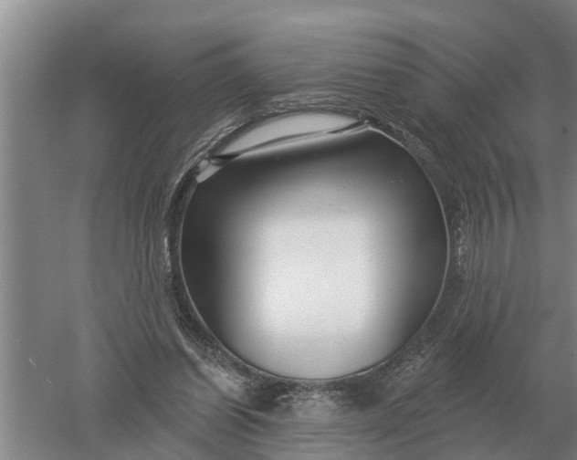 X0000052540254200507152140