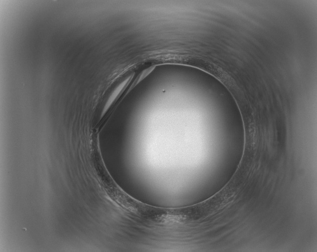 X0000052540255200507152140