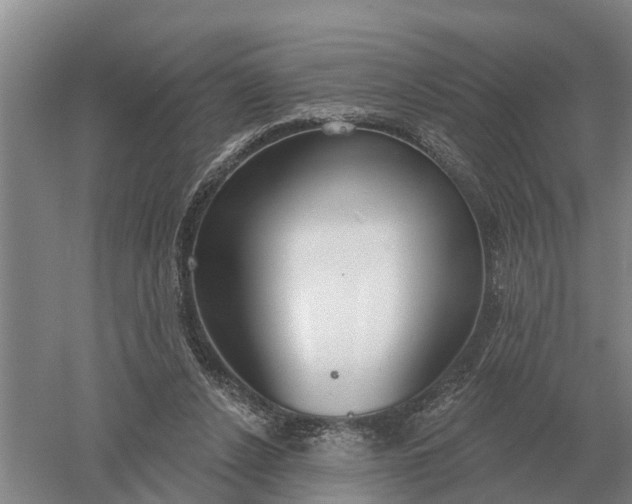 X0000052540256200507152140