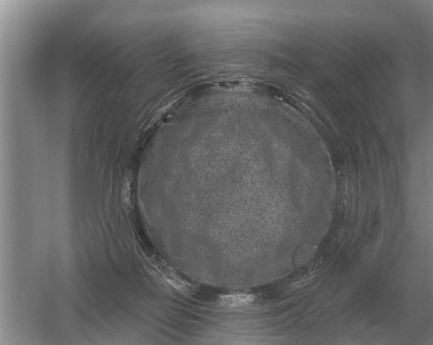 X0000052540266200507152140