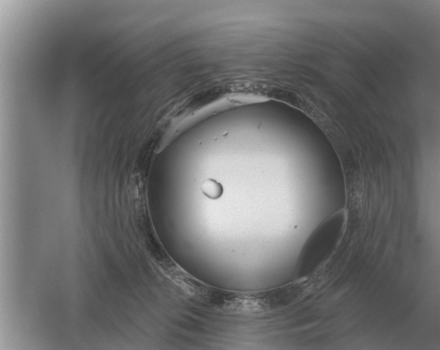 X0000052540276200507152141