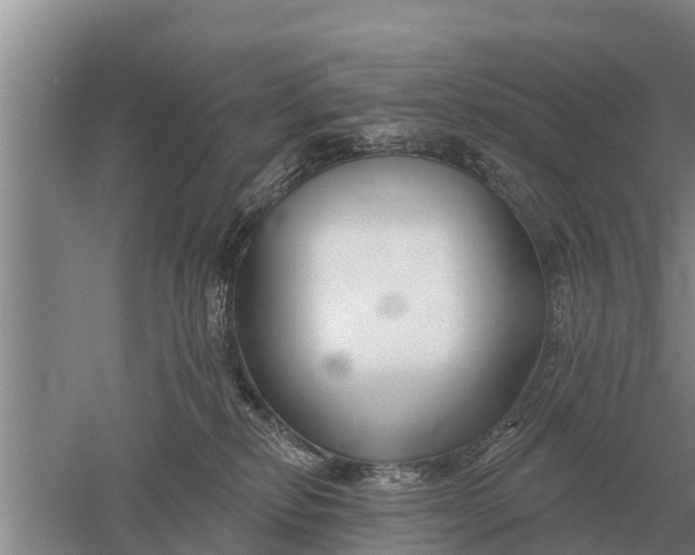 X0000052540278200507152141