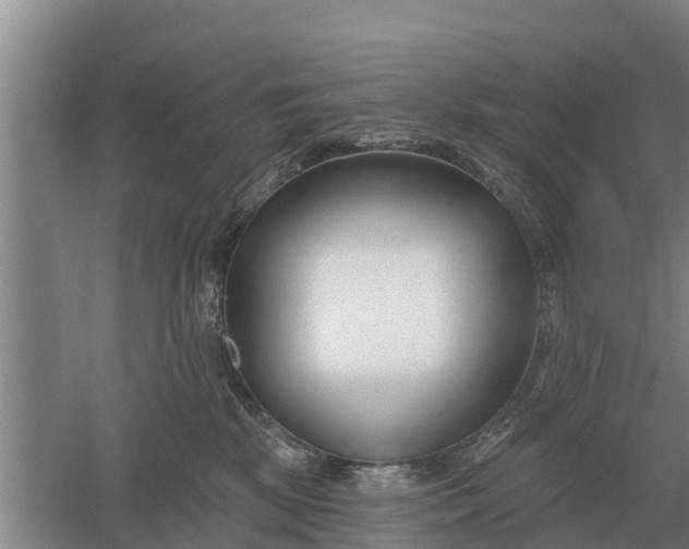 X0000052540281200507152141