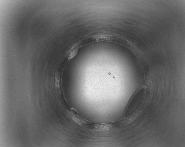 X0000052540282200507152141