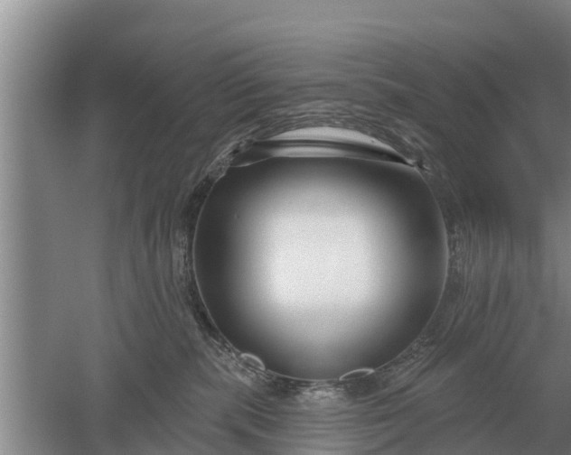 X0000052540283200507152141