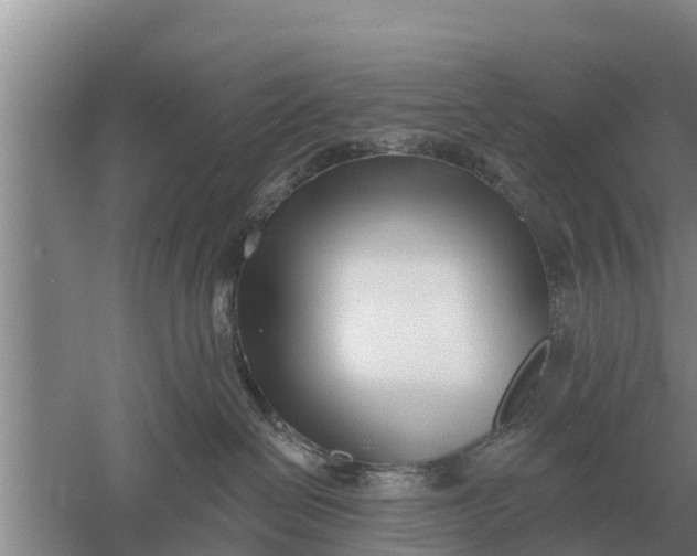 X0000052540286200507152141