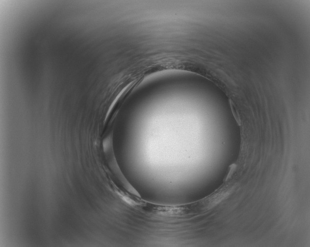 X0000052540288200507152141