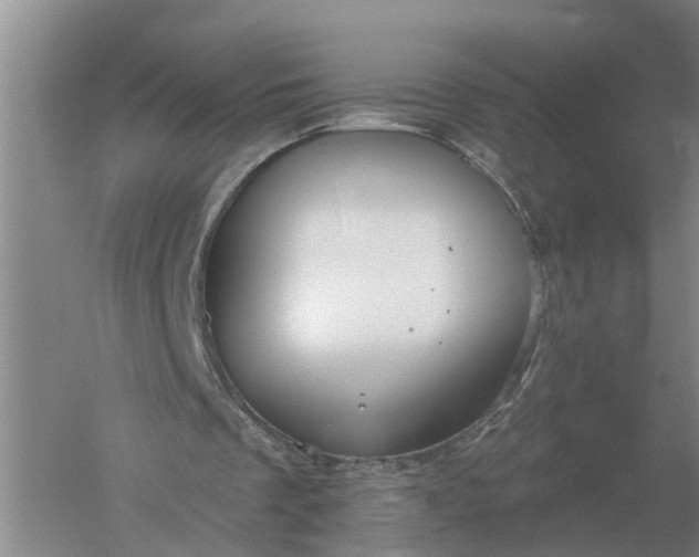 X0000052540289200507152140