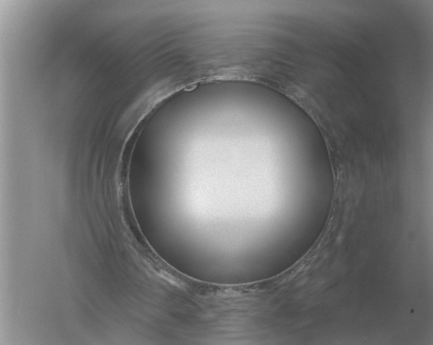 X0000052540290200507152140