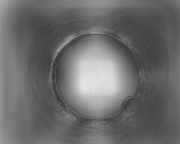 X0000052540292200507152140