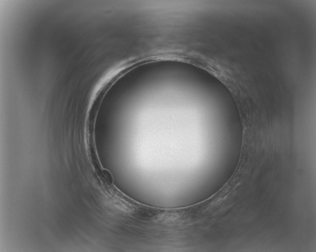 X0000052540294200507152140