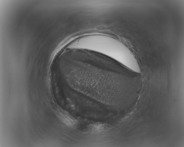 X0000052540295200507152140