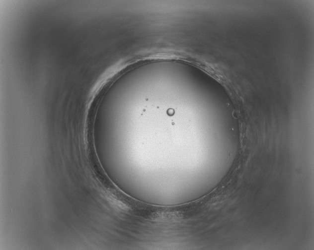 X0000052540296200507152140