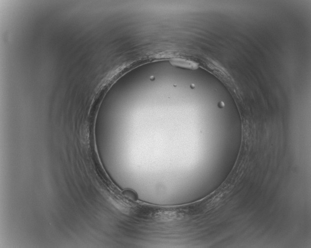 X0000052540298200507152140