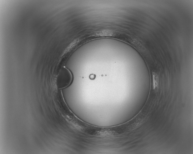 X0000052540300200507152140