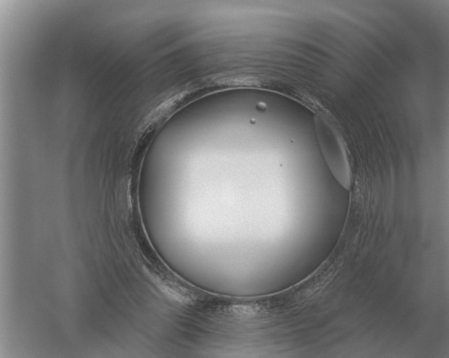 X0000052540302200507152140