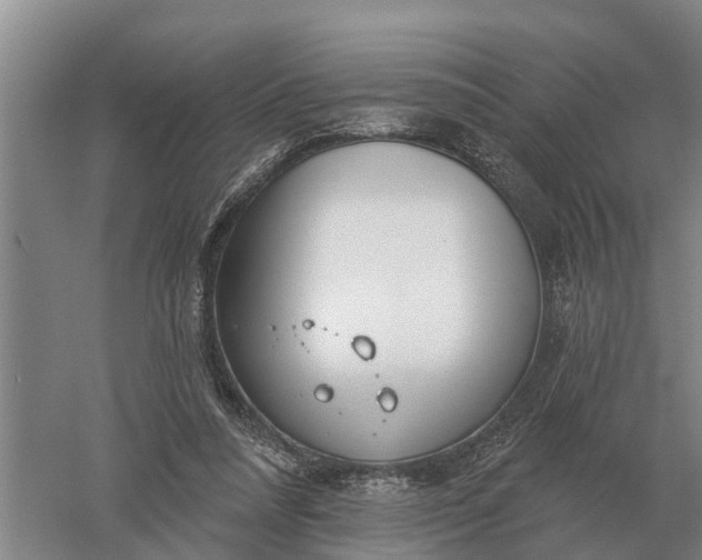 X0000052540304200507152140