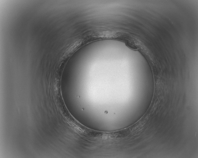 X0000052540305200507152140