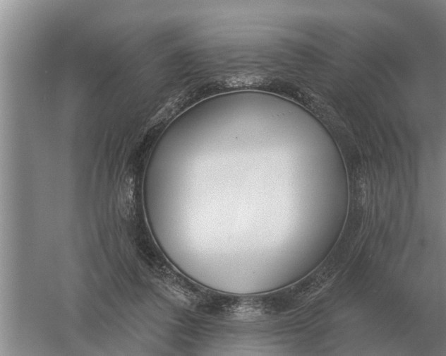 X0000052540308200507152140