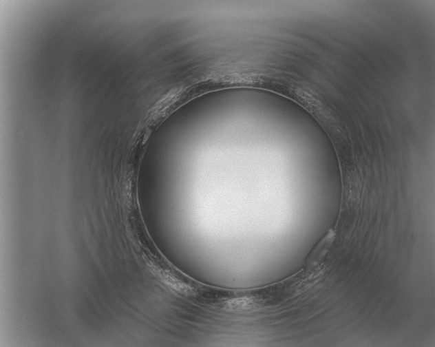 X0000052540309200507152140