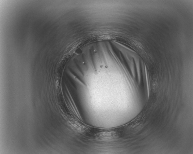 X0000052540314200507152140