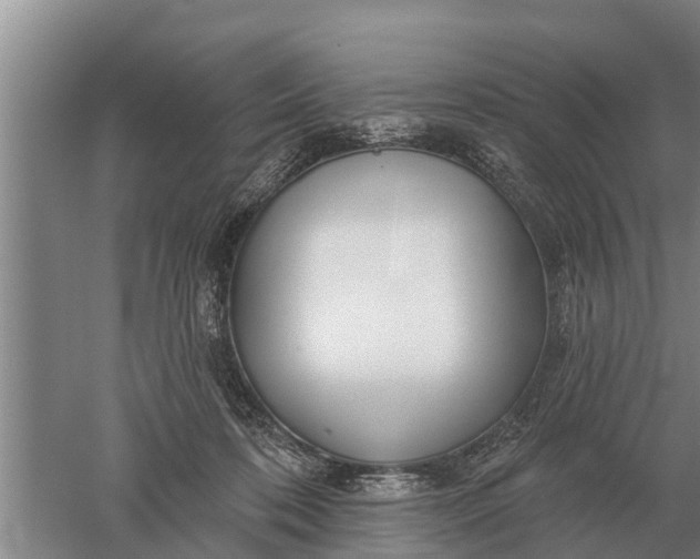 X0000052540316200507152139