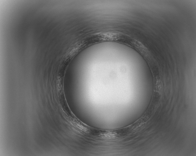 X0000052540318200507152139