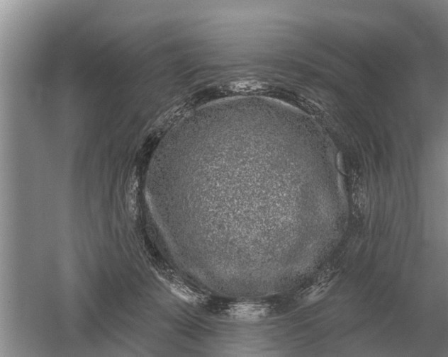 X0000052540319200507152139