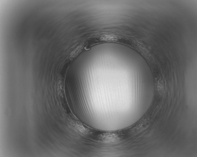 X0000052540322200507152139