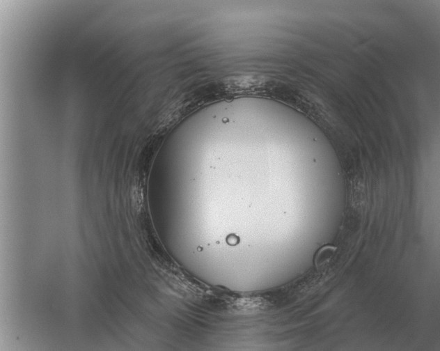 X0000052540324200507152139