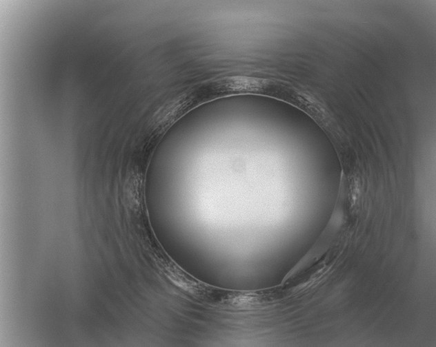 X0000052540325200507152139