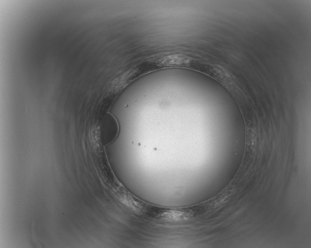 X0000052540326200507152139