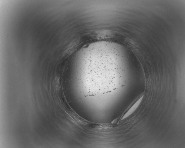 X0000052540327200507152139