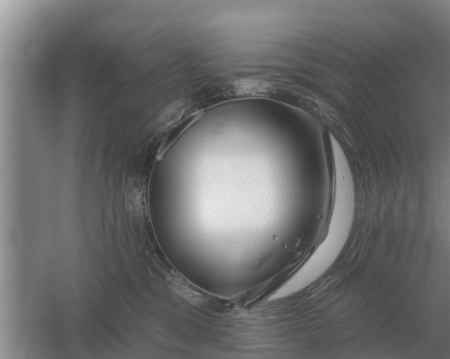 X0000052540329200507152139