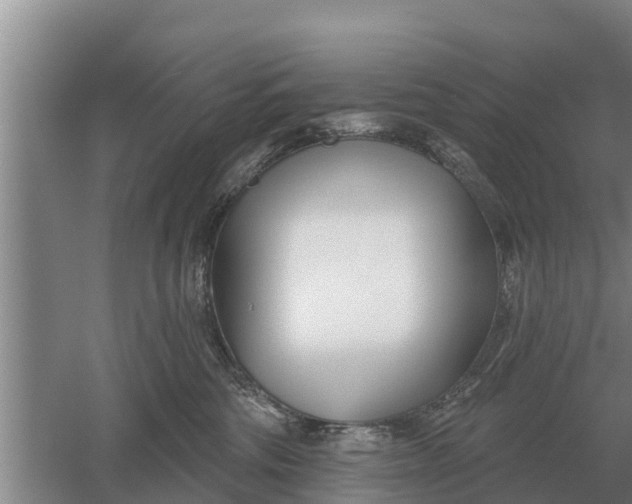 X0000052540330200507152139