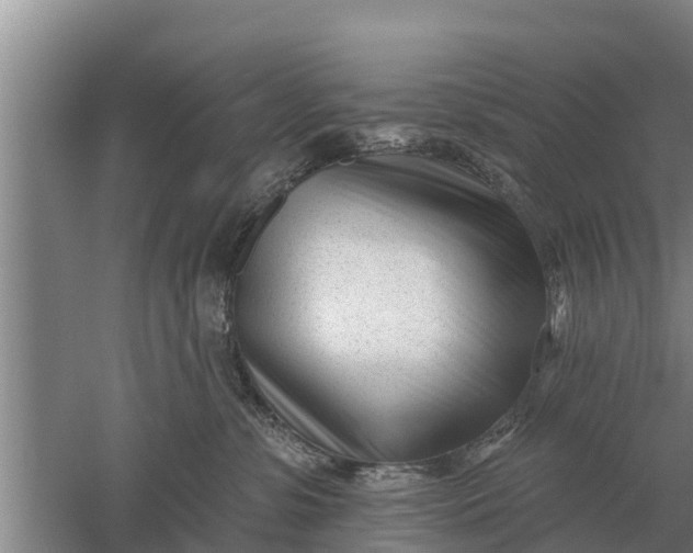 X0000052540331200507152139