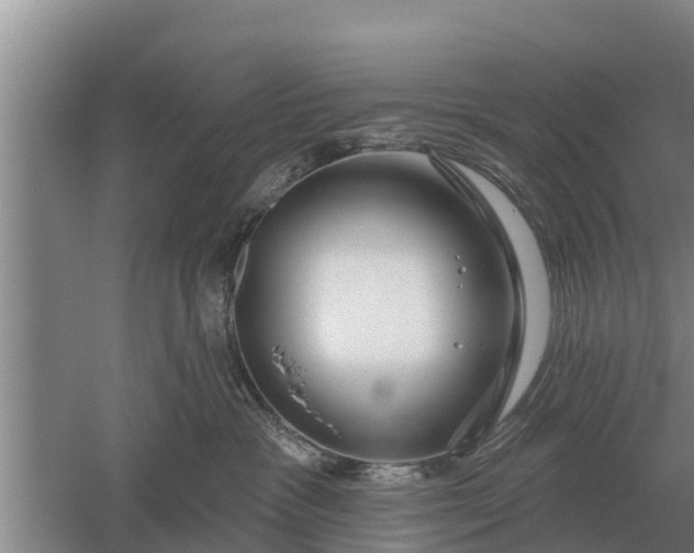 X0000052540333200507152139