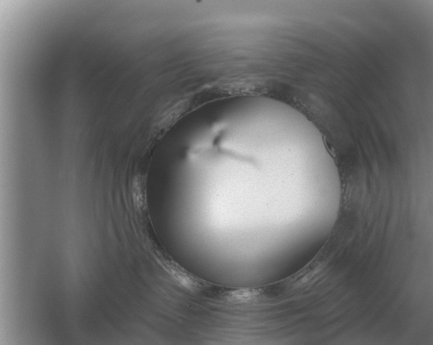 X0000052540335200507152139