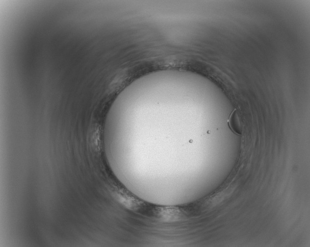 X0000052540336200507152139