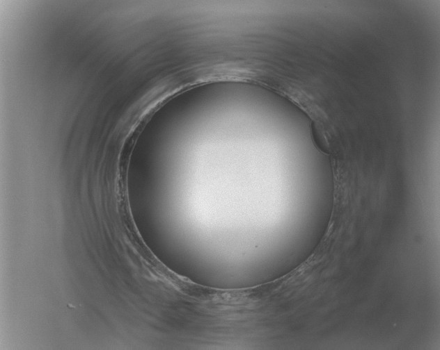 X0000052540338200507152138