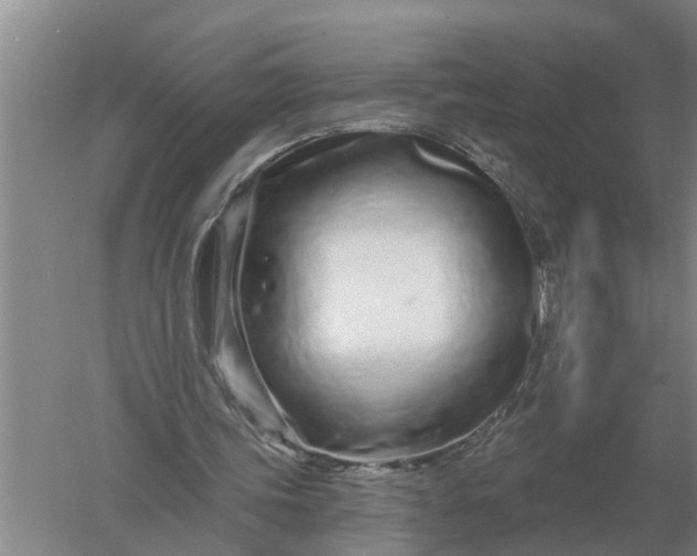 X0000052540339200507152138