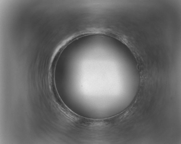 X0000052540342200507152138